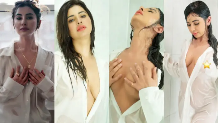 Punjabi Girl Meetii Kalher 5 BG BBC Sextapes Video
